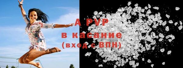 крисы Вяземский
